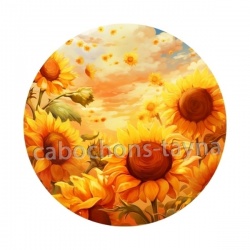 tournesol