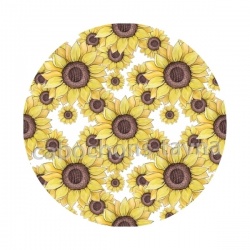 tournesol