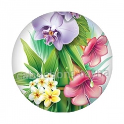 fleur exotique