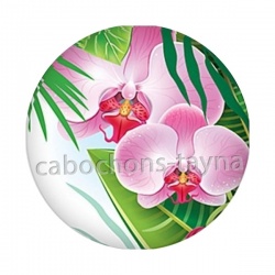 fleur exotique