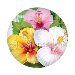 fleur exotique