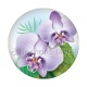 fleur exotique