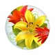 fleur exotique