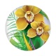 fleur exotique
