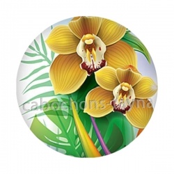 fleur exotique