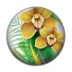 Cabochon Résine - fleur exotique