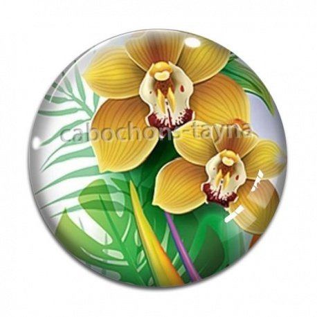 Cabochon Verre - fleur exotique