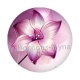 fleur exotique