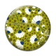 Cabochon Verre - feuille exotique 