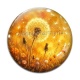 Cabochon Verre - pissenlit