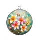 Pendentif Cabochon Argent - fleur frangipanier