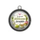 Pendentif Cabochon Argent - je suis une diététicienne formidable