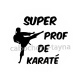 super prof de karaté
