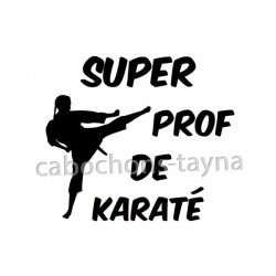 super prof de karaté