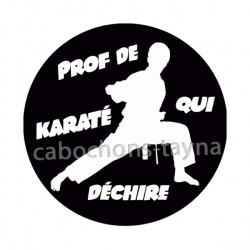 prof de karaté qui déchire