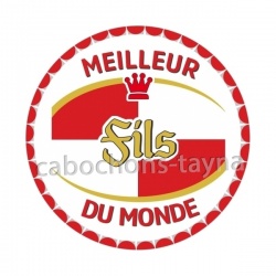 meilleur fils du monde