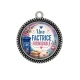Pendentif Cabochon Argent - une factrice formidable