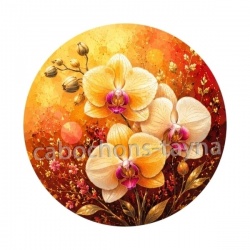  orchidée