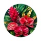 fleur exotique