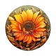 tournesol