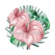 fleurs exotique