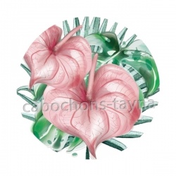 fleurs exotique