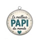Pendentif Cabochon Argent - le meilleur papi du monde