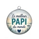 Pendentif Cabochon Argent - le meilleur papi du monde