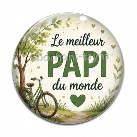 Cabochon Verre - le meilleur papi du monde