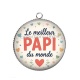 Pendentif Cabochon Argent - le meilleur papi du monde