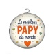 Pendentif Cabochon Argent - Le meilleur papy du monde