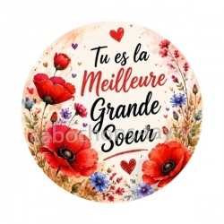 tu es la meilleur grande soeur