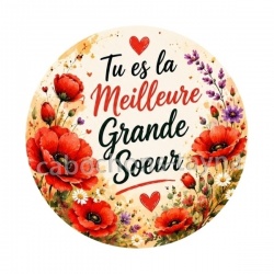  tu es la meilleur grande soeur