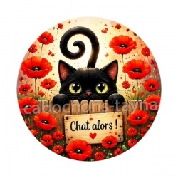 chat noir, chat alors