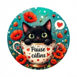 chat noir pause câlins