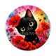 chat noir 