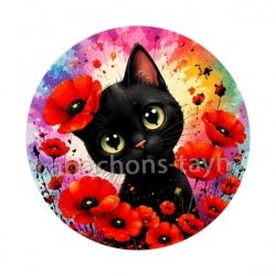 chat noir 