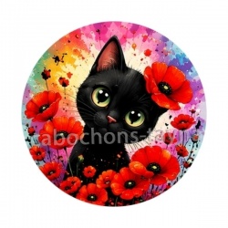 chat noir 