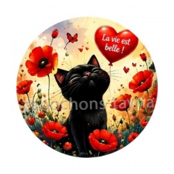 chat noir  la vie est belle