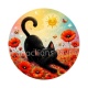 chat noir 