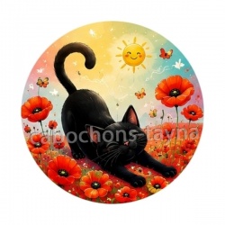 chat noir 