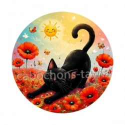 chat noir 