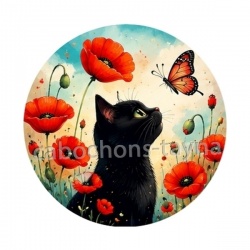 chat noir 