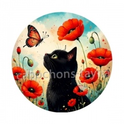 chat noir 