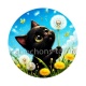 chat noir 