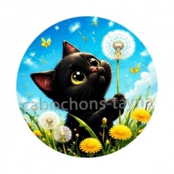 chat noir 