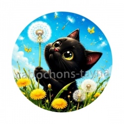 chat noir 