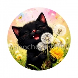 chat noir 
