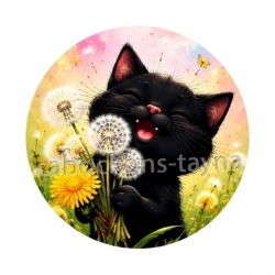 chat noir 
