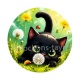 chat noir 